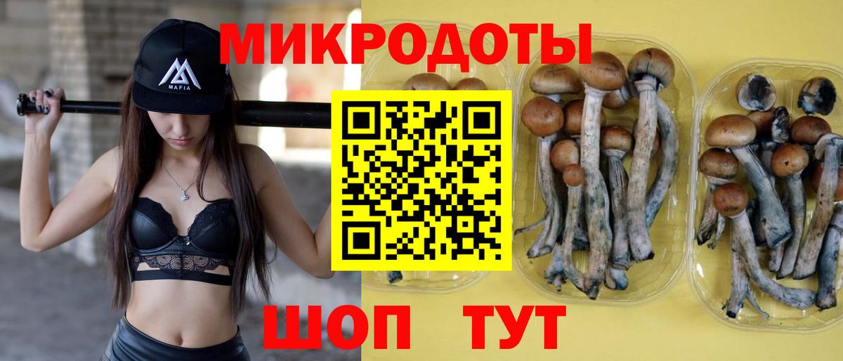 Галлюциногенные грибы MAGIC MUSHROOMS  Вход с VPN  Чусовой 